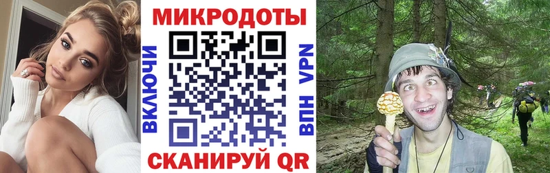 наркотики Покровск Псилоцибиновые грибы прущие грибы